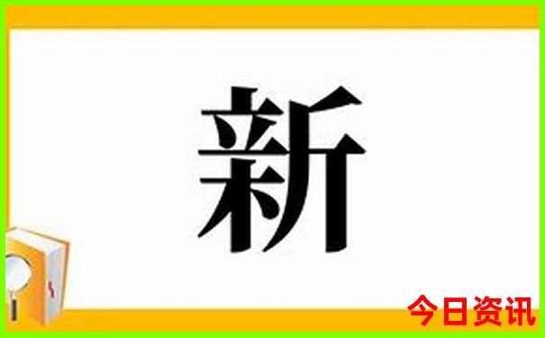 上下折叠手机排行榜前十名